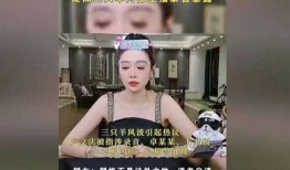 三只羊最新录音爆料视频,独家爆料背后的故事与真相