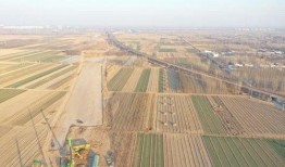 武邑爆料最新消息今天