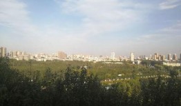 濮阳都市爆料最新消息,最新突发！揭秘濮阳某重大事件真相