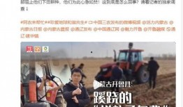 丰宁一中爆料新闻报道最新,揭秘校园内幕，真相令人震惊！