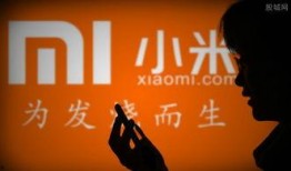 小米发布会最新爆料视频,颠覆性新品亮相，科技盛宴即将开启