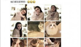 喝醉了的爆料贴吧最新