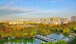 郑州大学城爆料事件最新,真相与反思并行