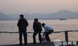 最新偷鱼爆料,揭秘幕后黑手与惊人内幕