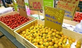 水果台最新爆料,明星们的甜蜜生活幕后故事