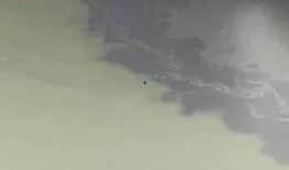 清河爆料最新新闻,最新热点事件深度解析