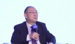 金灿荣最新爆料,揭秘国际风云变幻背后的真相