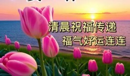 早安头条爆料最新消息,最新爆料揭示惊人内幕！