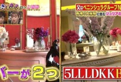 香港生活爆料视频大全最新