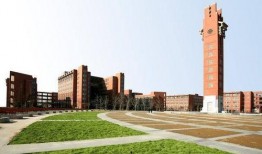 郑州大学城爆料事件最新,真相与反思并行