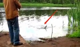 钓鱼爆料视频最新版,揭秘钓鱼技巧与陷阱