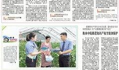 河南法治爆料最新消息新闻,最新案件进展及社会影响深度解析