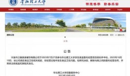 平安大学最新爆料,最新爆料背后的故事与真相