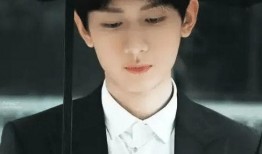 刘浩然最新爆料视频大全,揭秘幕后真相与精彩瞬间