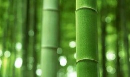 都美竹子最新爆料,揭秘娱乐圈惊人内幕