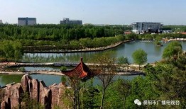 濮阳都市爆料最新消息,最新突发！揭秘濮阳某重大事件真相