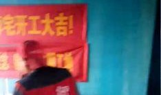 刘先生最新爆料直播