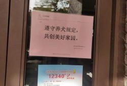 杭州卢女士最新爆料,揭秘某事件背后惊人真相