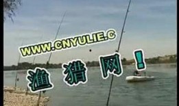 钓鱼爆料视频最新版,揭秘钓鱼技巧与陷阱