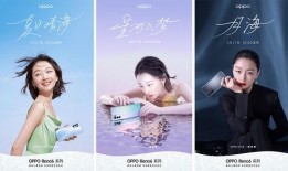 海丰梅陇餐饮最新爆料信息,揭秘神秘菜品背后的故事