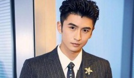 张云龙最新八卦爆料山西,揭秘明星背后的生活点滴