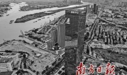 鱼珠最新爆料,揭秘行业内幕，带你走进真实市场风云