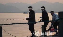 最新偷鱼爆料,揭秘幕后黑手与惊人内幕