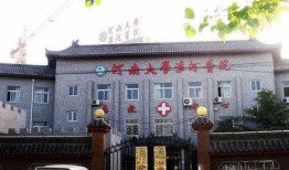 最新爆料淮河医院,揭秘背后惊人真相！