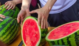 最新学院吃瓜爆料,学院风云再起，最新吃瓜爆料曝光惊人内幕