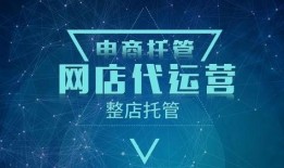 最新星光飞宠爆料2025