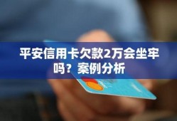 平安欠款爆料案例最新,揭秘金融巨头背后的债务危机