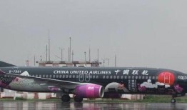 贵州飞机场爆料视频最新,揭秘神秘事件背后的真相