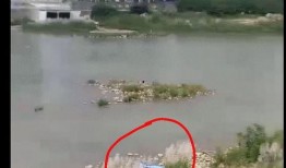 爆料绵阳最新跳河事件,悲剧重演，生命无常引发社会关注