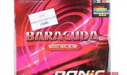 多尼克最新爆料,揭秘网球界惊人内幕！”