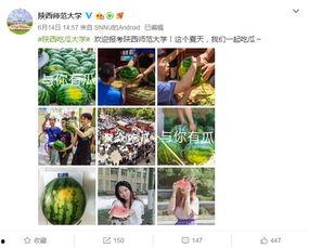 最新学院吃瓜爆料,学院风云再起，最新吃瓜爆料曝光惊人内幕