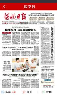 河北爆料最新消息,揭秘重大事件背后真相