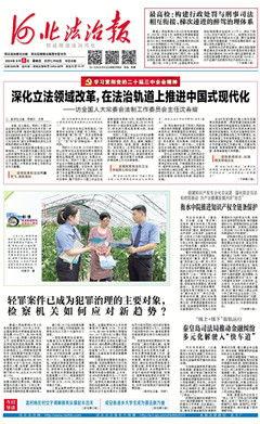 河南法治爆料最新消息新闻,最新案件进展及社会影响深度解析