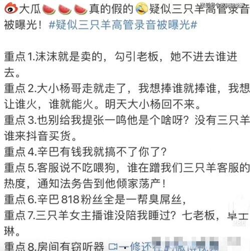 三只羊最新录音爆料视频,独家爆料背后的故事与真相
