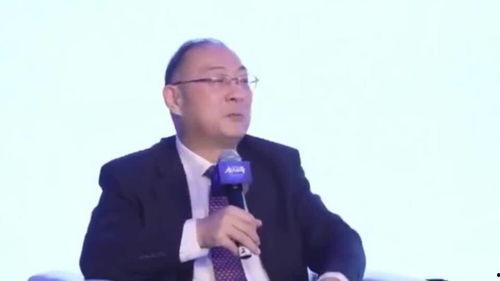 金灿荣最新爆料,揭秘国际风云变幻背后的真相