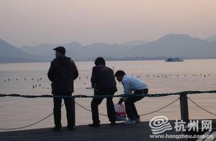 最新偷鱼爆料,揭秘幕后黑手与惊人内幕