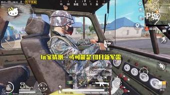 最新和平军需爆料视频下载,揭秘军事装备升级与战略部署