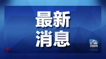 海诺最新爆料消息,揭秘娱乐圈惊人内幕